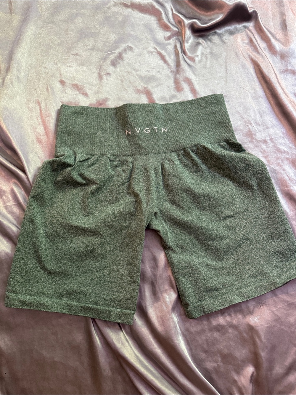 Pro Seamless Shorts